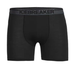 Icebreaker Anatomica Boxer 150 Men